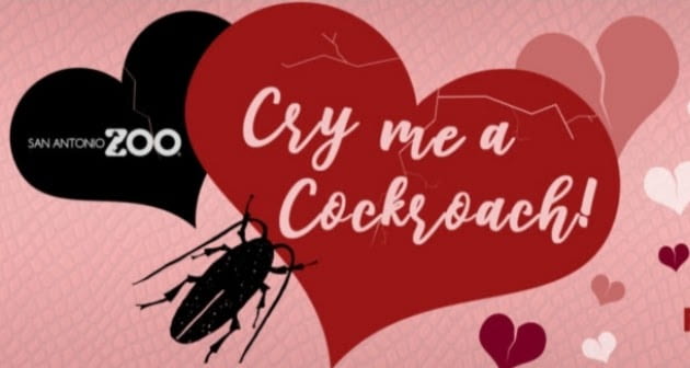Cry Me a Cockroach event