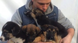 Olympic skier Gus Kenworthy holding rescued puppies Phot by NBC.com