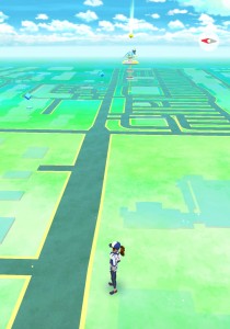 People have followed these screens around the world catching Pokemon.